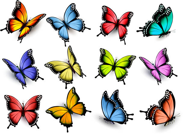 istock Collection of colorful butterflies, flying in different directio 576714454