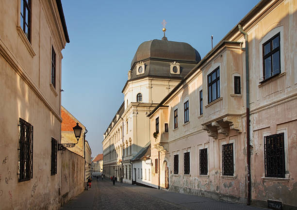 calle de miklos schneider-trnavsky en trnava. eslovaquia - trnava fotografías e imágenes de stock