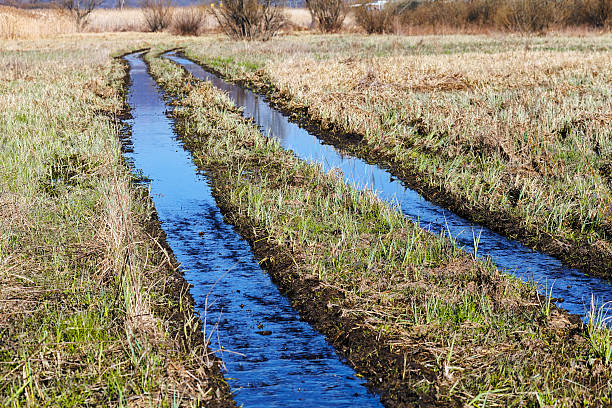 istock muddy country road 576717796