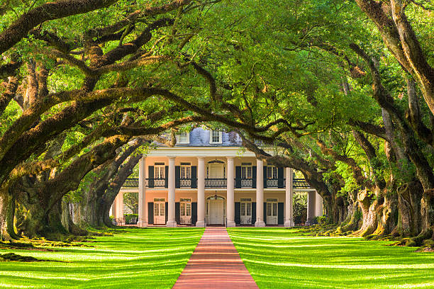 oak alley plantation - mississippi südliche bundesstaaten der usa stock-fotos und bilder