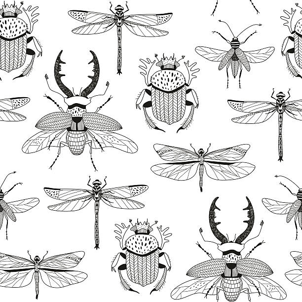 vector seamless pattern with various hand drawn insects vector seamless pattern with various hand drawn insects dragonfly drawing stock illustrations