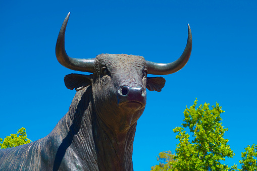 Bull statue in Ronda (Andalusia, Spain).