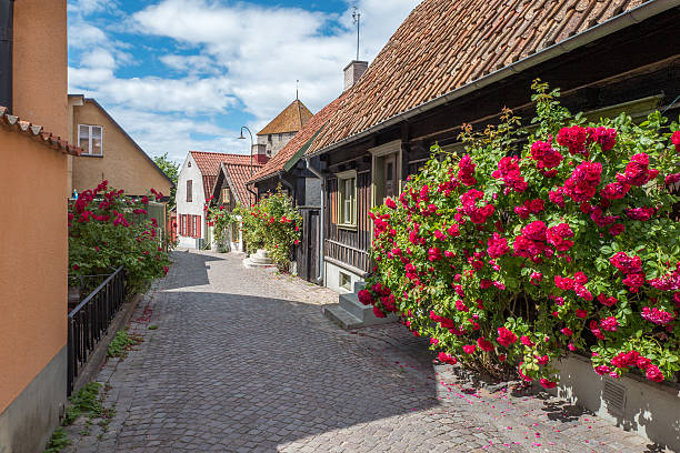 Medieval Hanse town Visby in Sweden Medieval alley in the historic Hanse town Visby on Swedish Baltic sea island Gotland gotland stock pictures, royalty-free photos & images