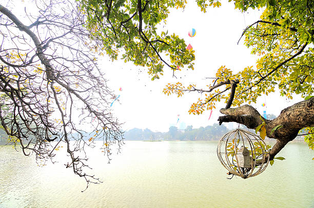 Hoan Kiem Lake, also known as Ho Guom, is a lake in the historical center of Hanoi, the capital city of Vietnam. The lake is one of the major scenic spots in the city and serves as a focal point for its public life.