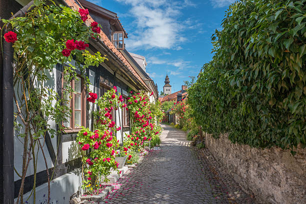 Medieval Hanse town Visby in Sweden Roses growing on walls in a medieval alley in the historic Hanse town Visby on Swedish Baltic sea island Gotland sweden stock pictures, royalty-free photos & images