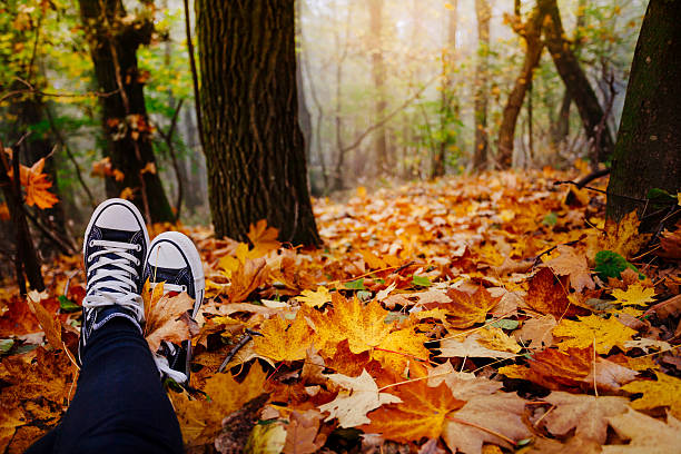 Canvas shoe in autumn leaves