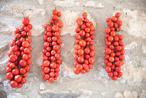 Four bunches of ripe tomatoes are hanging on the outside stone wall of a Greek home (on Chios Island, Greece) to become sun-dried.