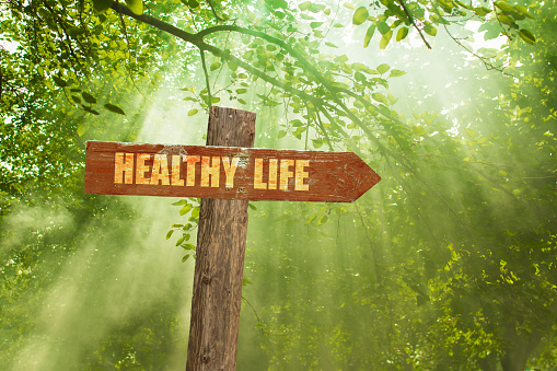 Sign with Healthy Life Text on Green Forest.