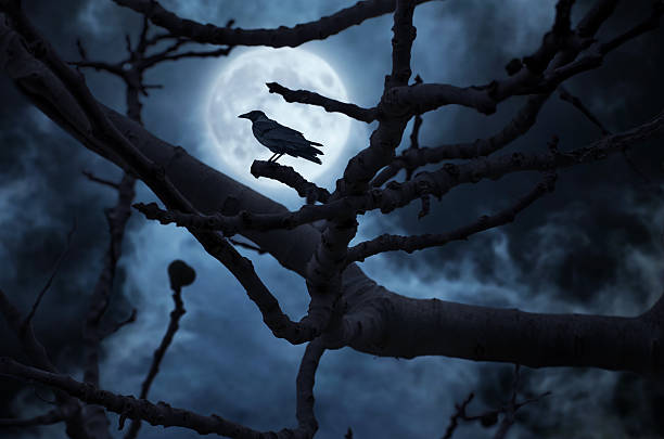 istock Moon behind the tree and a raven on it. 576730864