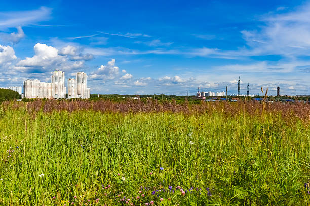 istock landscape road footpath through a field 576733338