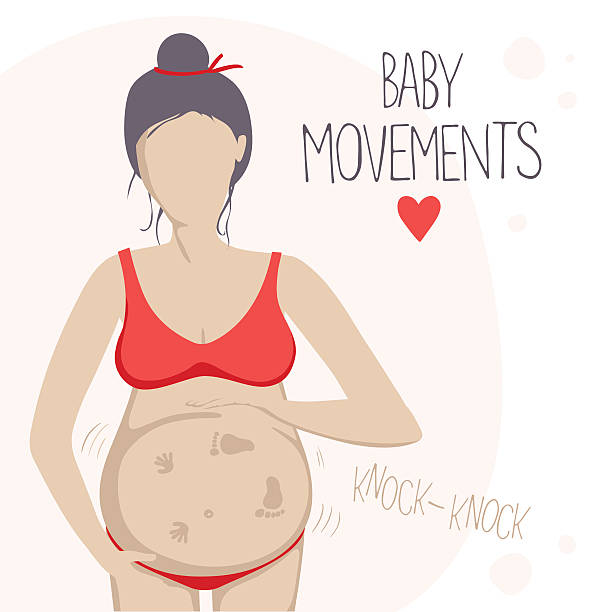 Pregnant woman feels the baby moving inside. Pregnant woman in the second trimester. She feels the baby moving inside. Vector illustration. 6 months pregnant baby position stock illustrations