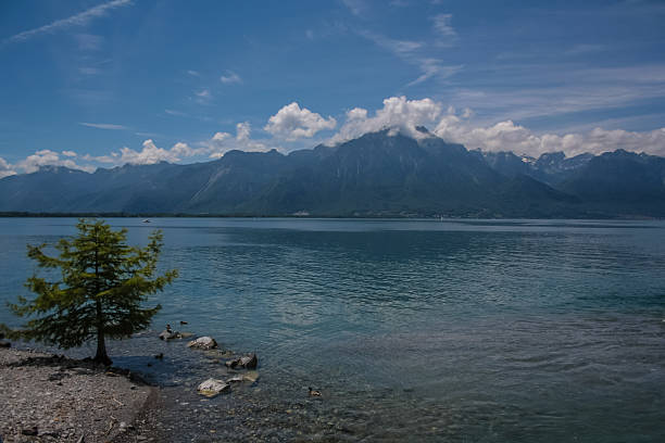 lake and mountains in switzerland