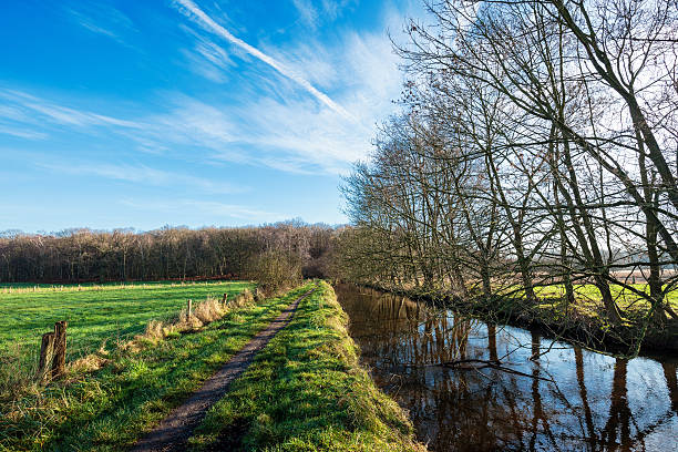 istock Sunny Winterday in Nature Reserve 576738268