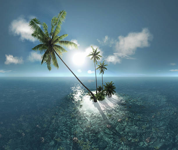 istock sea, tropical island, palm , sun 3D illustration 576740454