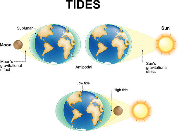 pływy. księżyc, słońce i ziemia - tide stock illustrations