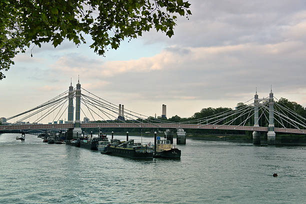 istock The Albert Bridge in London 576743354