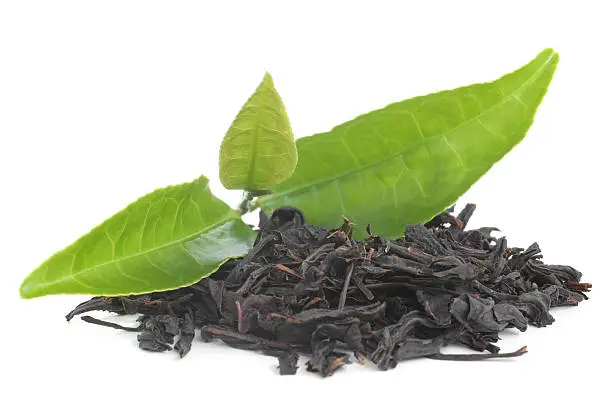 Black tea with green leavas on white background