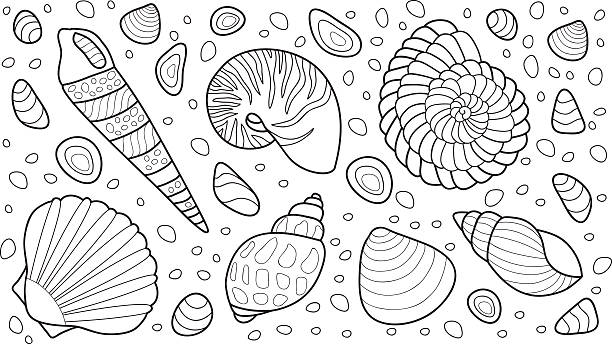 Sea Animal Coloring Pages Stock Photos, Pictures & Royalty-Free Images -  iStock