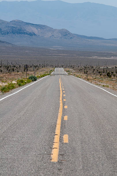 istock Desert Road in Nevada 576747746