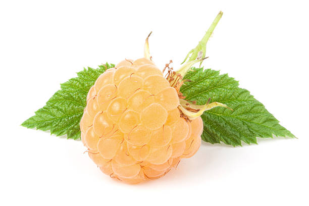 istock yellow raspberries with leaf isolated on white background macro 576749258