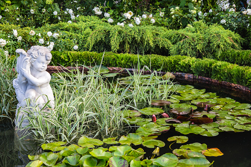 pond with water lilies and a statue of an angel