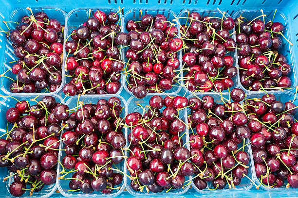 istock Fruit trays with sweet red cherries 576754598
