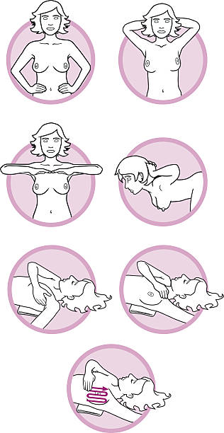 Breast cancer self-check Seven illustrations demonstrating how to check your breasts for abnormalities Self Exam stock illustrations