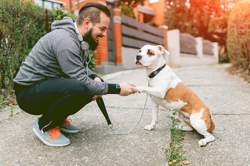 Cheerful man and his dog. Dog is giving a paw to smiling man. He is enjoy spending time together with his dog. They are ready for morning jogging together.