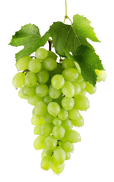 istock green grapes isolated on the white backhround 576892066
