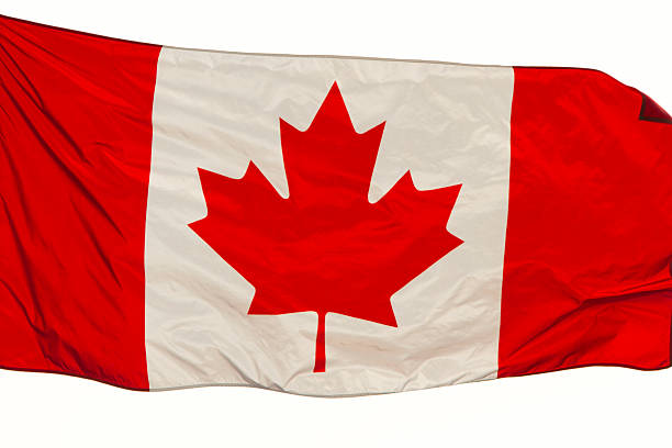 .Flag of Canada waving in the wind on white background