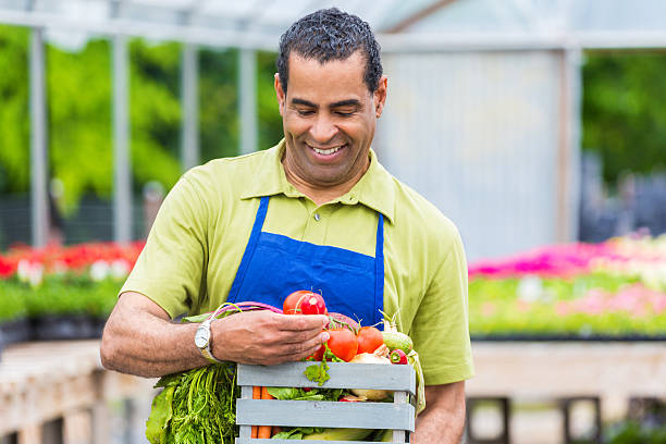 istock Handsome farmer looks at tomato at produce stand 576894586