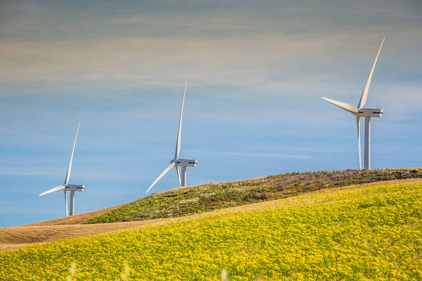 istock Windmills for electric power production 576894602