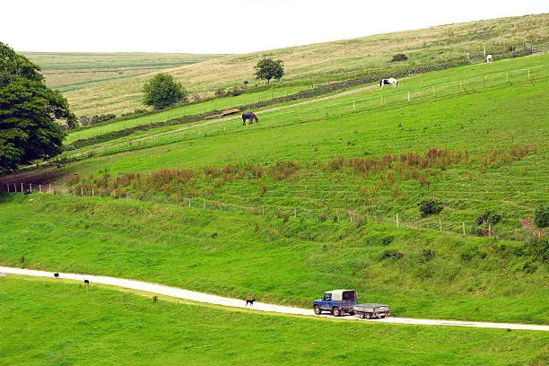 Farming - Landrover 4x4 vehicles drives through english countryside. Sheep dogs run ahead and horses graze on the hills behind.