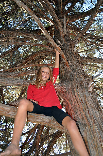 Girl Climbing Tree stock photo