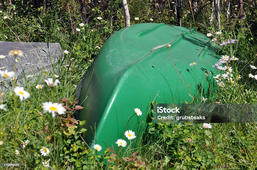 Green canoe in a field of daisies A green canoe upside down in a field of daisies on the shore of a Montana lake. Canoe Stock Photo