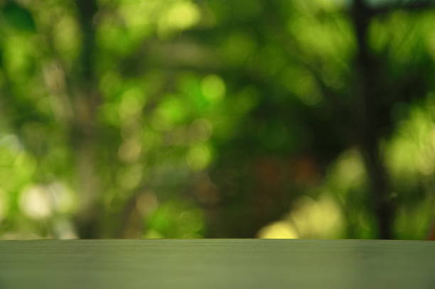 istock empty wood table with blur garden green empty wood table 576897188