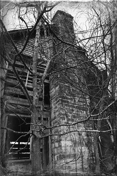 chaminé de casa abandonada - house farm brick chimney - fotografias e filmes do acervo