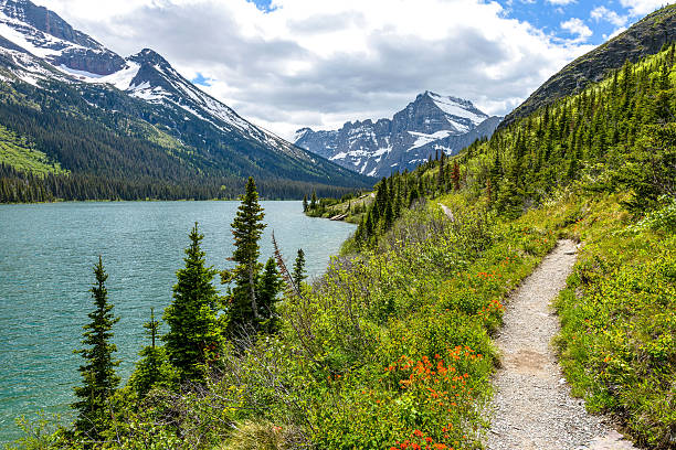 sentiero escursionistico di montagna primaverile - montana mountain us glacier national park mountain range foto e immagini stock