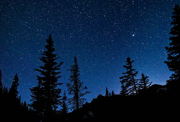 kuvapankkikuvat ja rojaltivapaat kuvat aiheesta castle peak -hirvivuoret yöllä tähtien kanssa - aspen tree