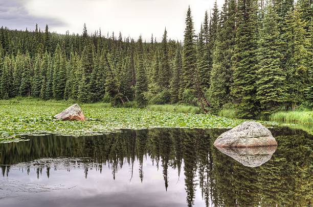 istock Red Rock Lake Colorado 576898790