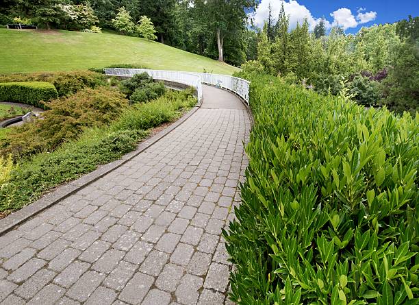 istock Park Trail, Pedestrian Bridge, Lush Green Foliage, Wide Angle View 576900356