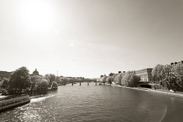istock Pont des Arts against the sun through willow tree 576904604