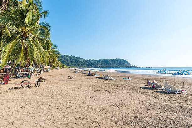 비치 야코 - 코스타리카 태평양 연안 - costa rica beach palm tree tree 뉴스 사진 이미지