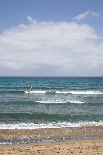 istock Surfers in the Dominican Republic 576905168