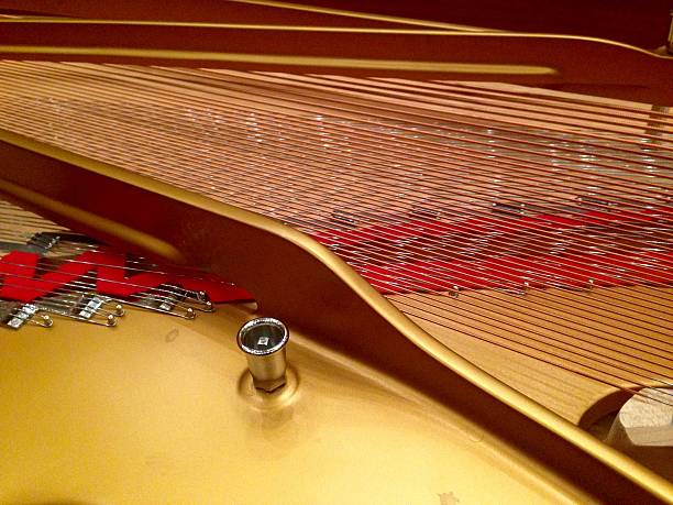 istock Harpsichord, detail. 576905810