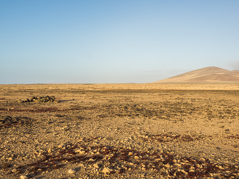 Typical landscape of Fuerteventura, Canary Islands