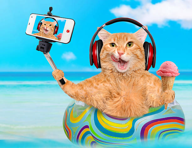 istock Cat headphones taking a selfie together with a smartphone. 576907014