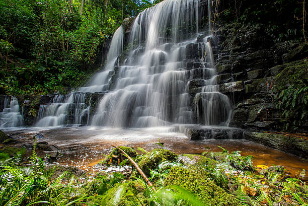 istock Mun-Dang's waterfall with antirrhinum flower 576907216