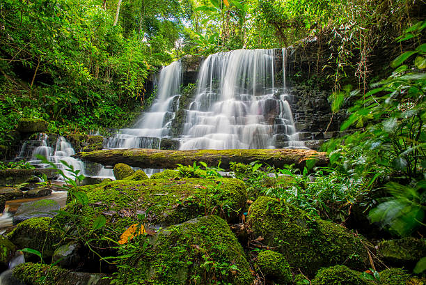 istock Mun-Dang's waterfall with antirrhinum flower 576907760