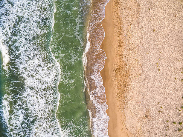 vue aérienne du littoral avec des algues - africa south beach landscape photos et images de collection